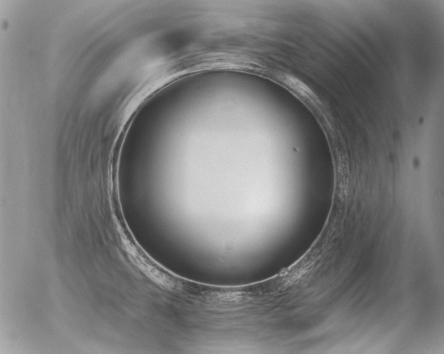 X0000056361431200508261326