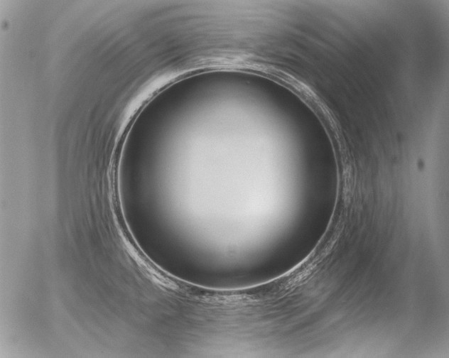 X0000056361432200508261326