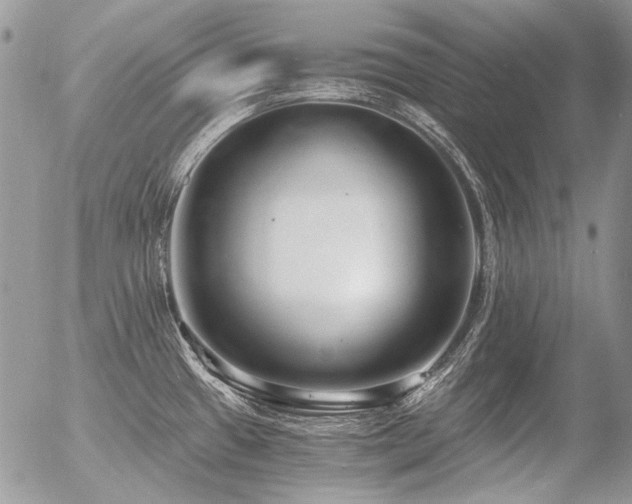X0000056361433200508261326