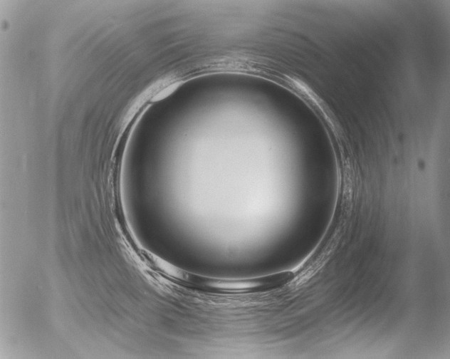 X0000056361434200508261326