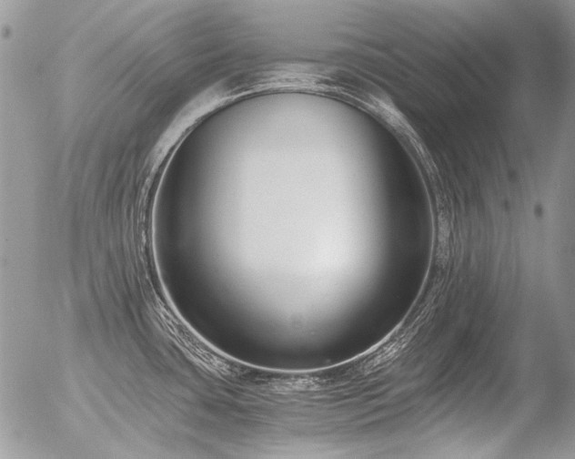 X0000056361435200508261326