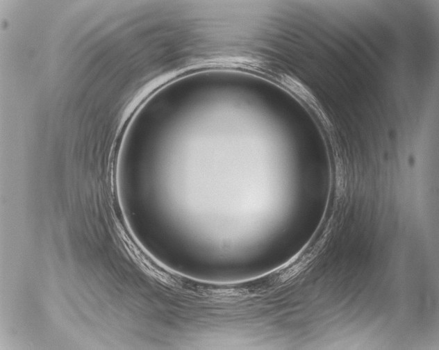 X0000056361436200508261326