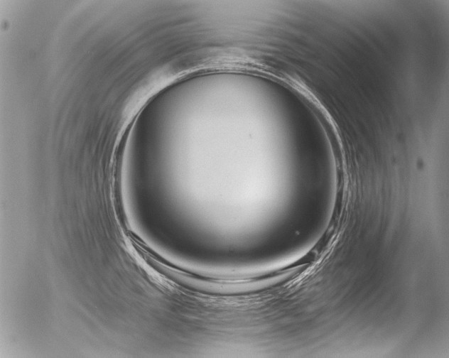 X0000056361437200508261326