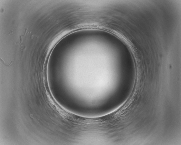 X0000056361440200508261326