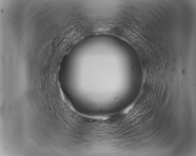 X0000056361441200508261325
