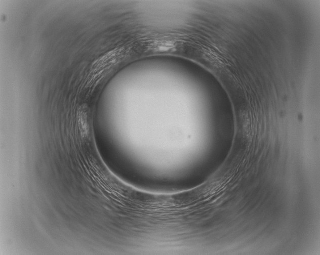X0000056361442200508261325