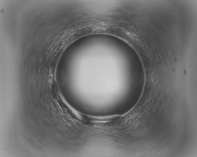 X0000056361445200508261325