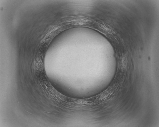 X0000056361446200508261325