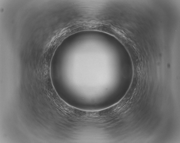 X0000056361447200508261325