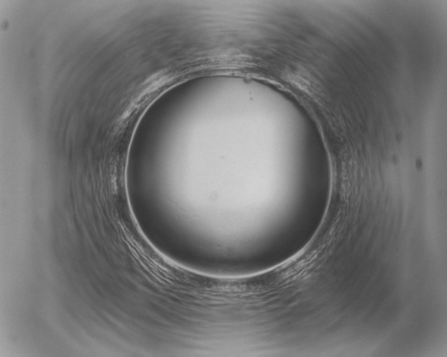 X0000056361451200508261325
