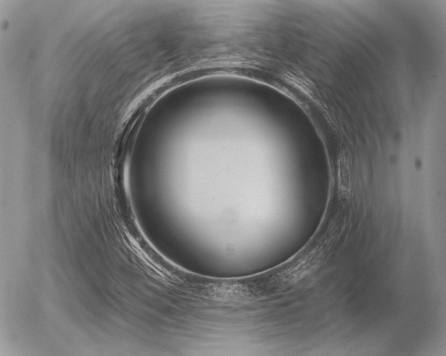 X0000056361452200508261325