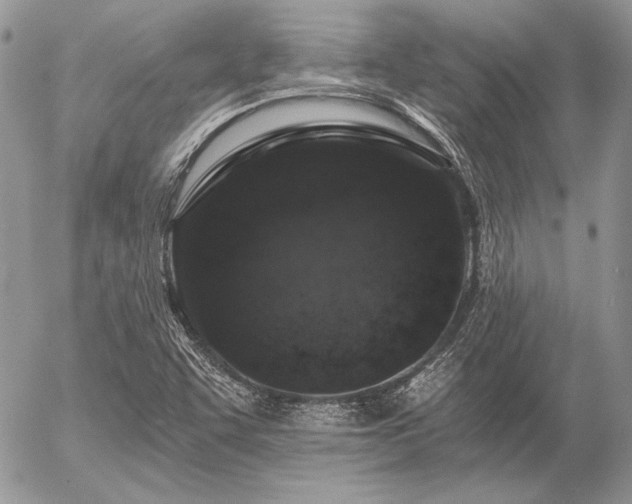 X0000056361455200508261325
