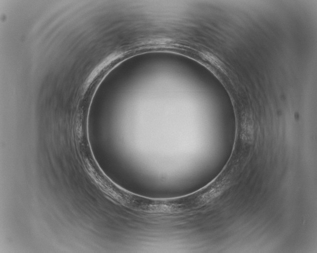 X0000056361458200508261325