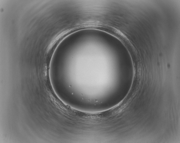 X0000056361461200508261325