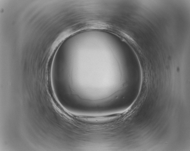 X0000056361471200508261325