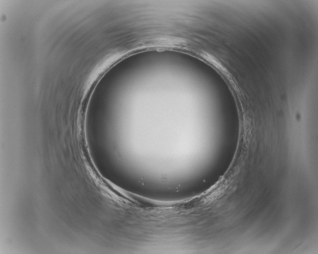 X0000056361477200508261324