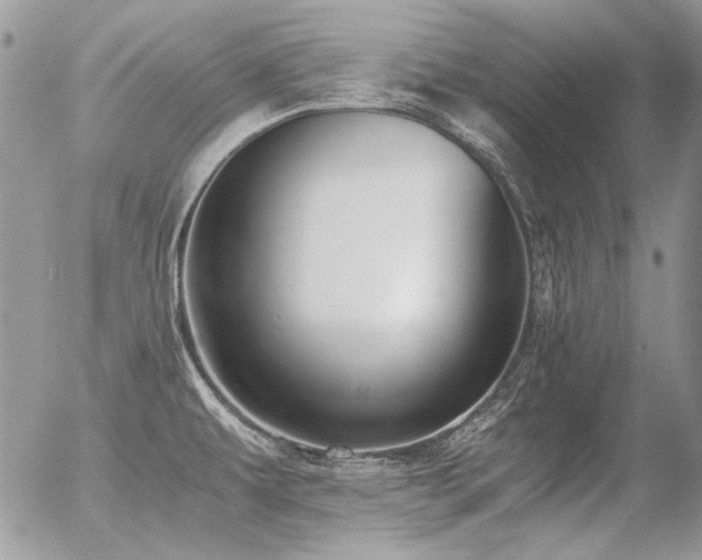 X0000056361479200508261324