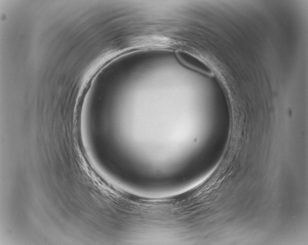 X0000056361488200508261324
