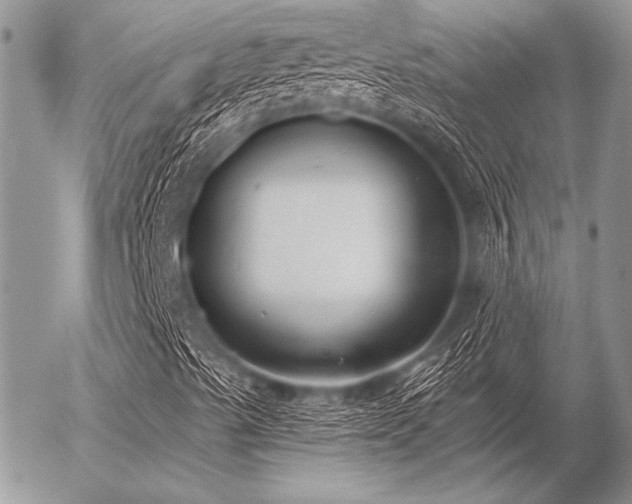 X0000056361489200508261323