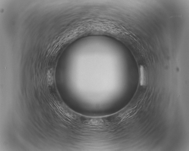 X0000056361491200508261324
