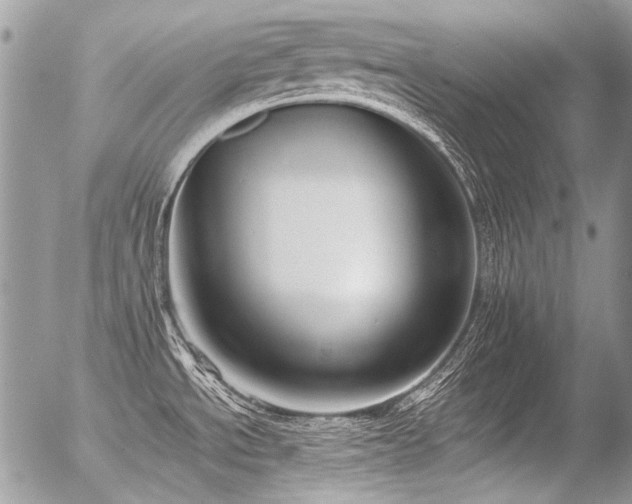 X0000056361534200508261324
