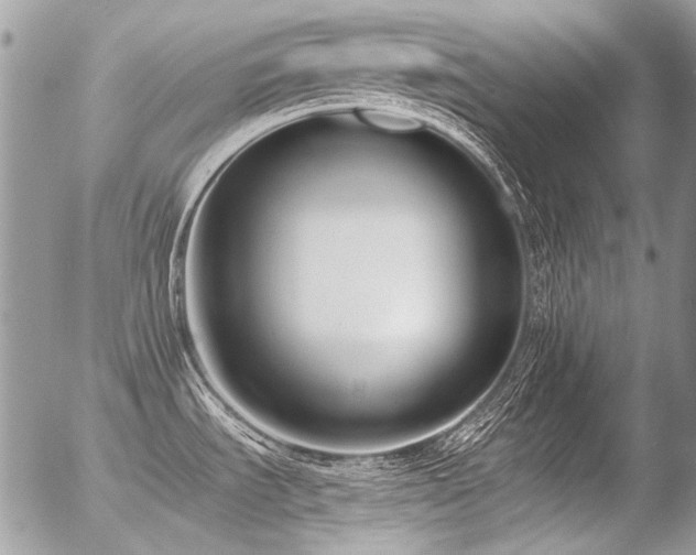 X0000056361535200508261324