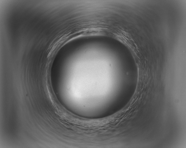 X0000056360001200508291356