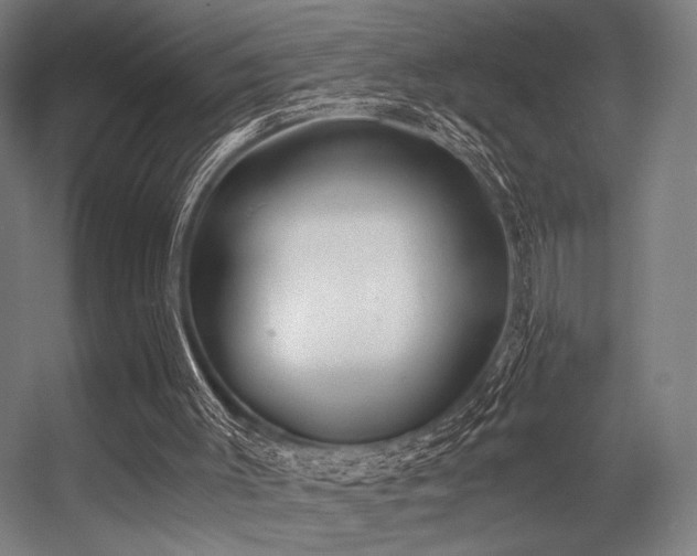 X0000056360003200508291356