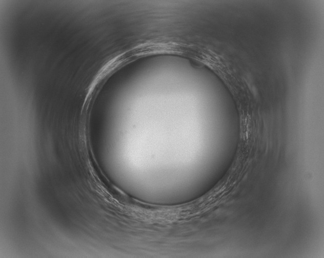 X0000056360004200508291356