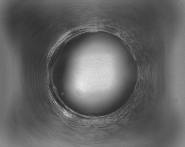 X0000056360005200508291356