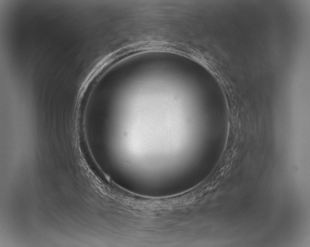 X0000056360007200508291356