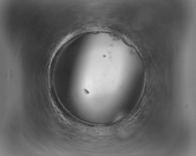 X0000056360008200508291356