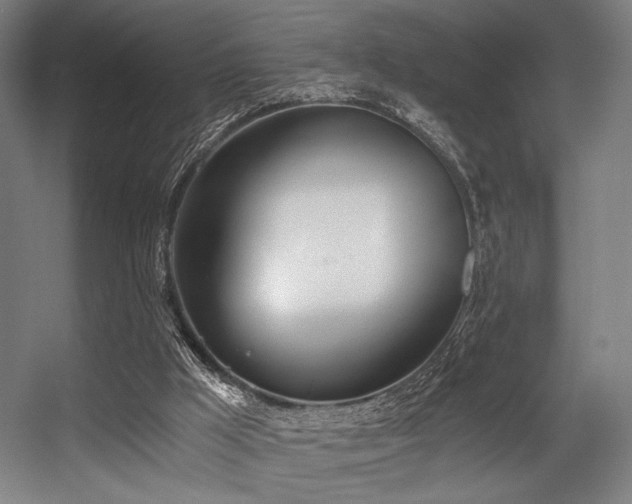 X0000056360009200508291356