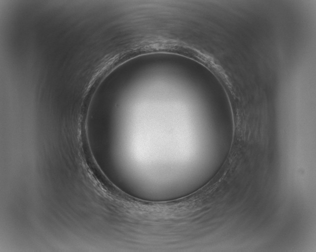 X0000056360010200508291356