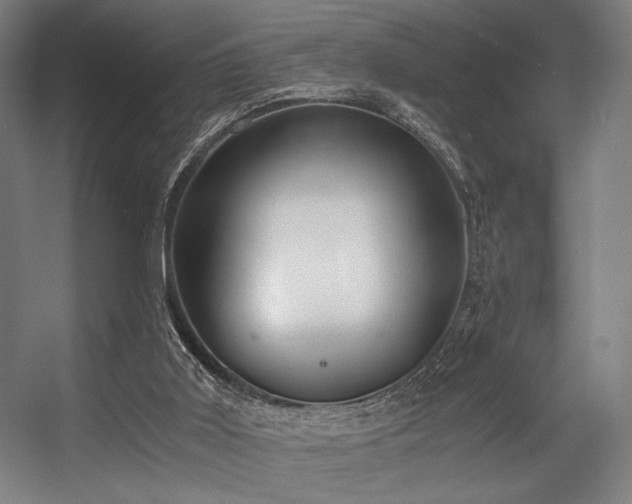 X0000056360011200508291356