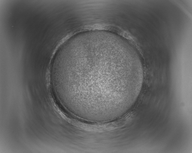 X0000056360012200508291356