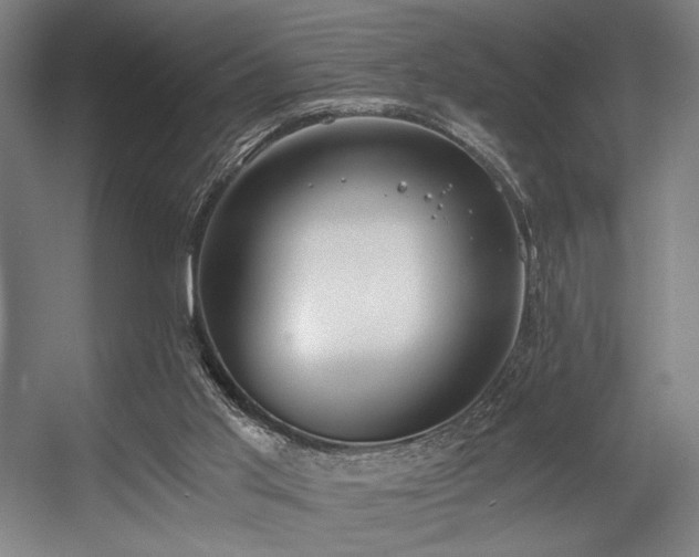 X0000056360013200508291356