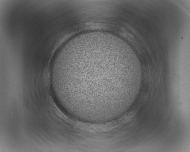 X0000056360016200508291356