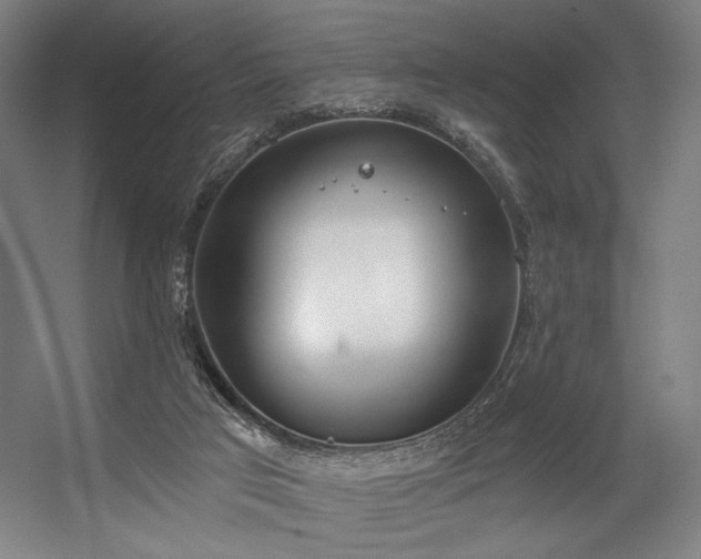 X0000056360017200508291356