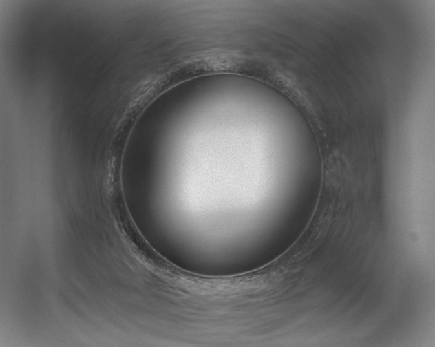 X0000056360018200508291356