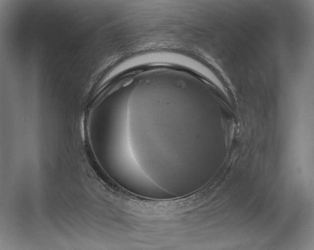 X0000056360019200508291356