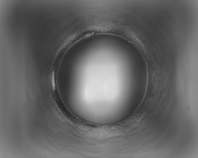 X0000056360020200508291356