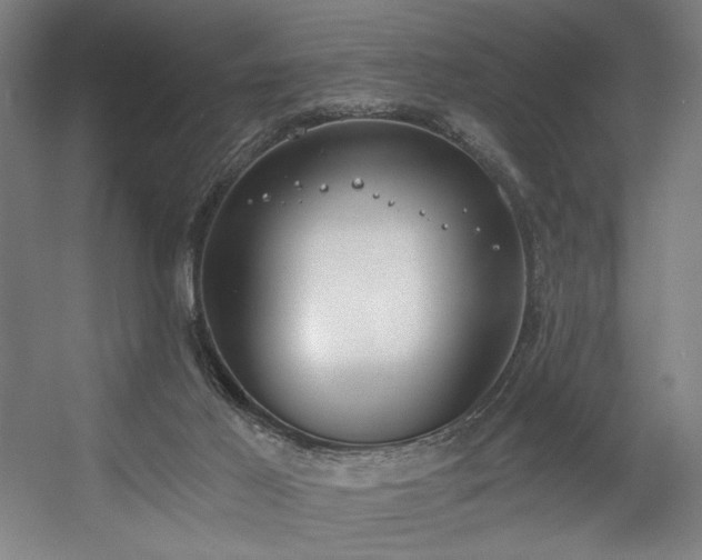 X0000056360021200508291356