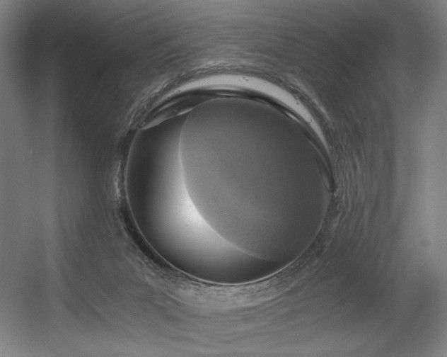 X0000056360023200508291356