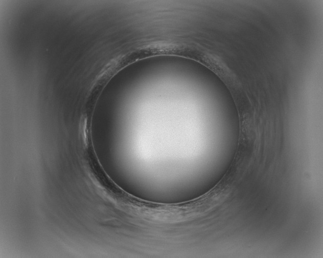 X0000056360024200508291356