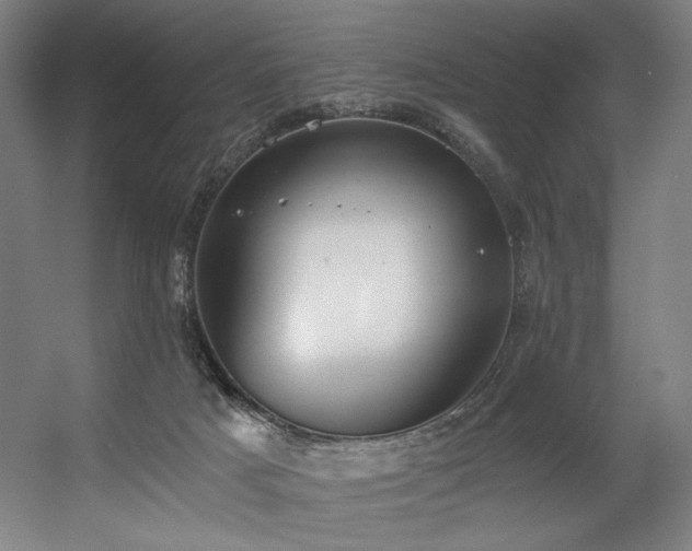 X0000056360025200508291356