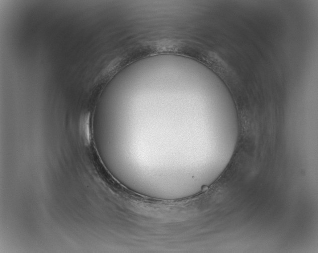 X0000056360028200508291356