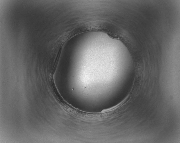 X0000056360029200508291356