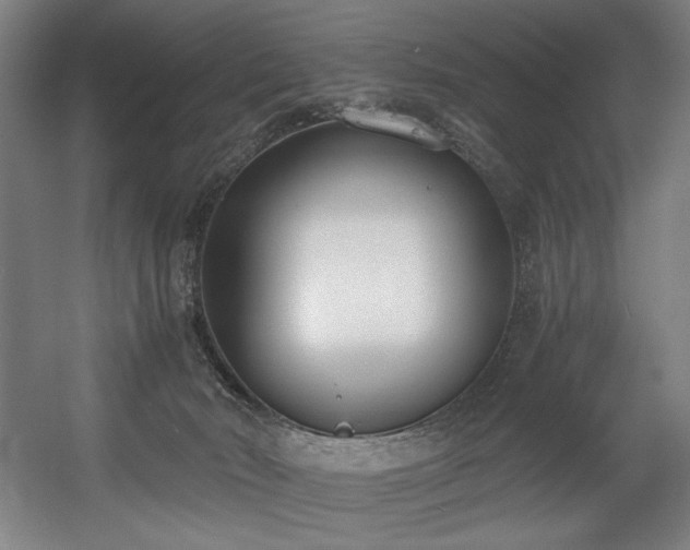 X0000056360030200508291356