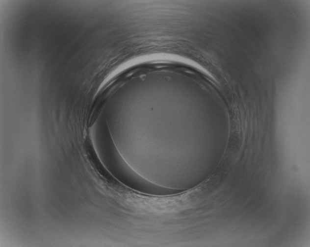 X0000056360031200508291356